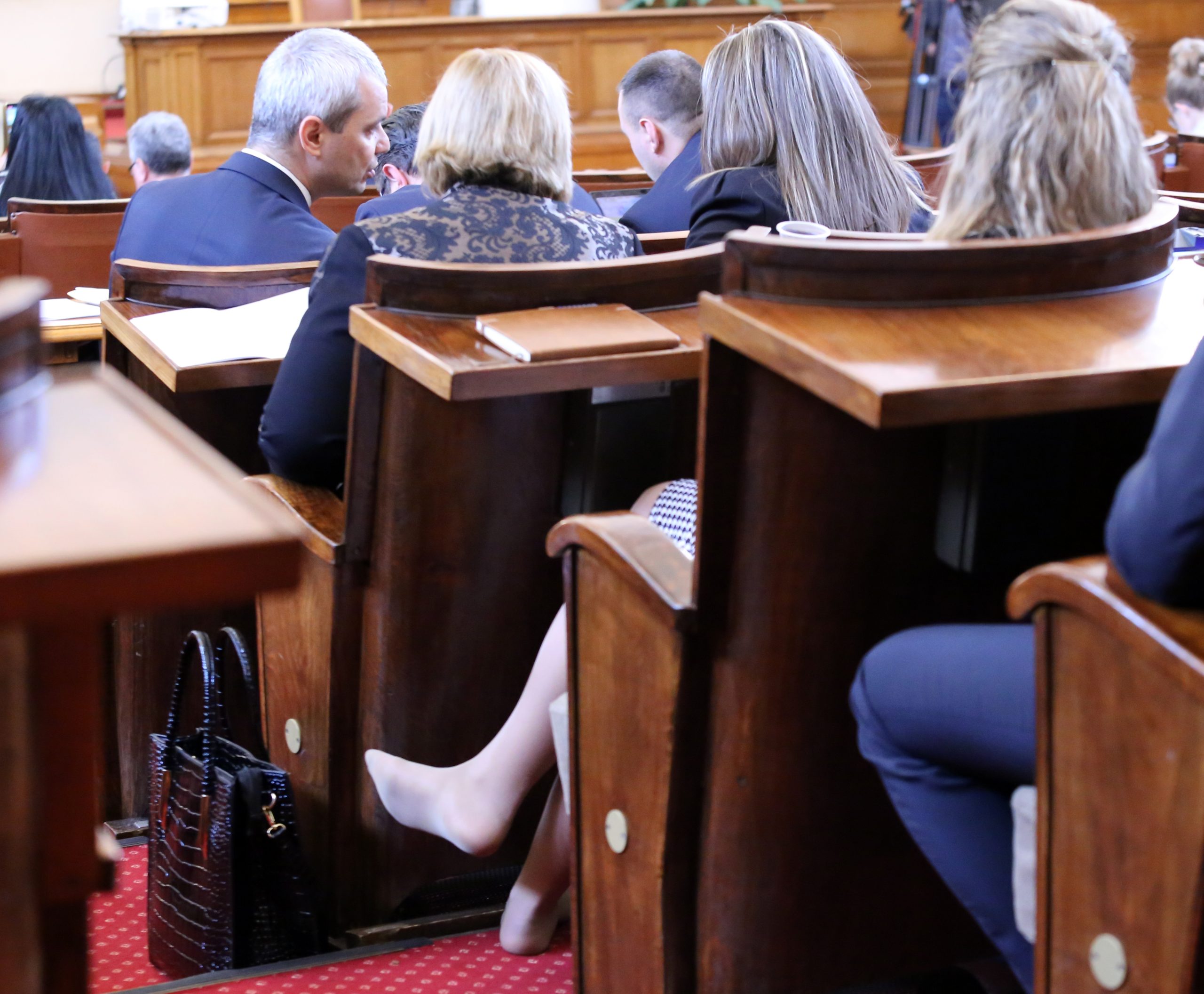 Парламент Цвета Галунова