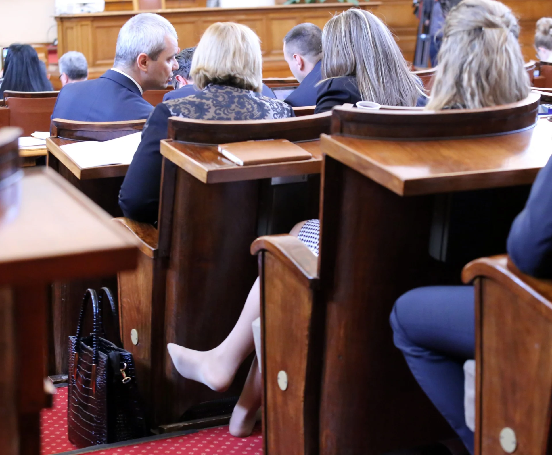 Парламент Цвета Галунова