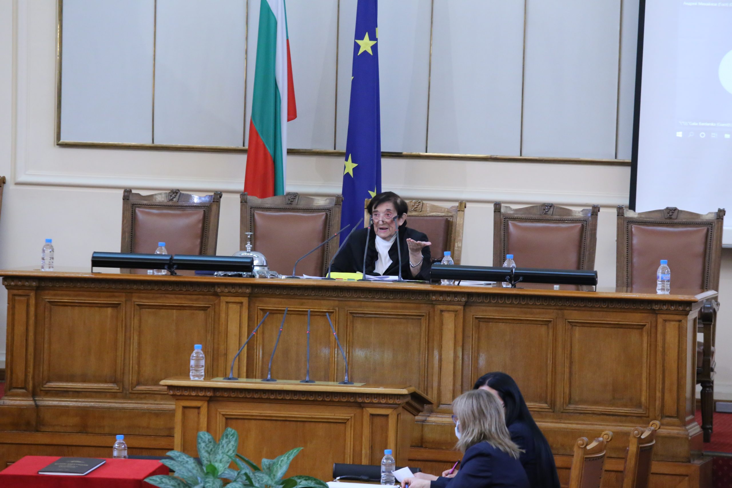 Парламент 45 Народно събрание Мика Зайкова