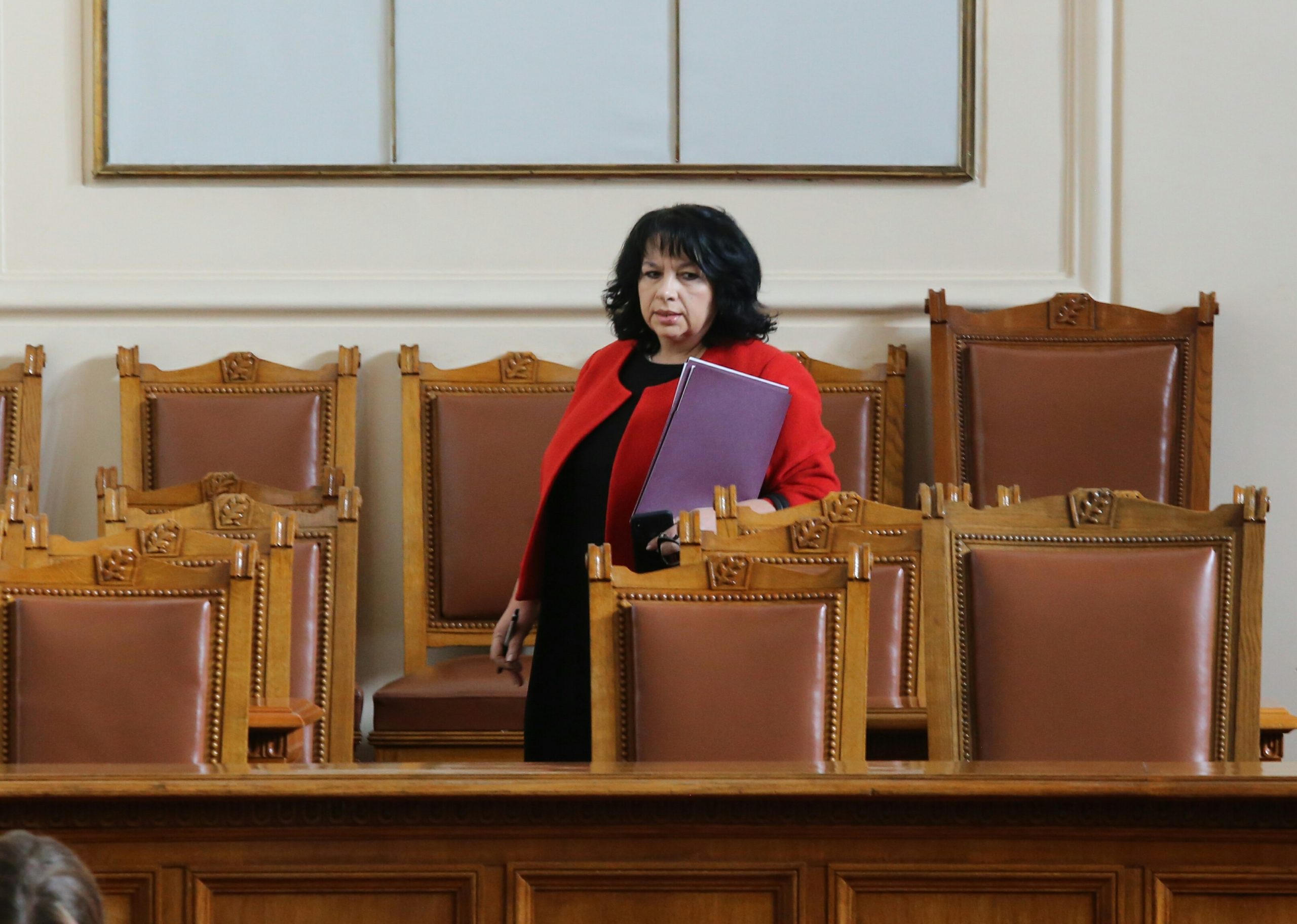 Парламент Теменужка Петкова