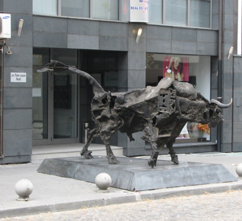 Migration Image