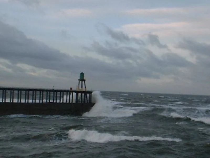 Migration Image
