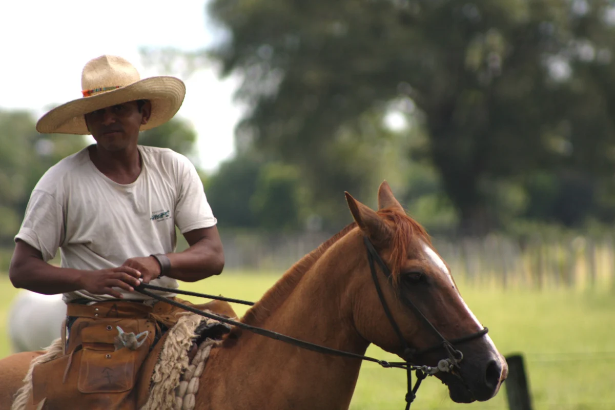 edin ot nashite vodachi