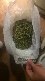 марихуана