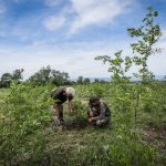 новата гора на София