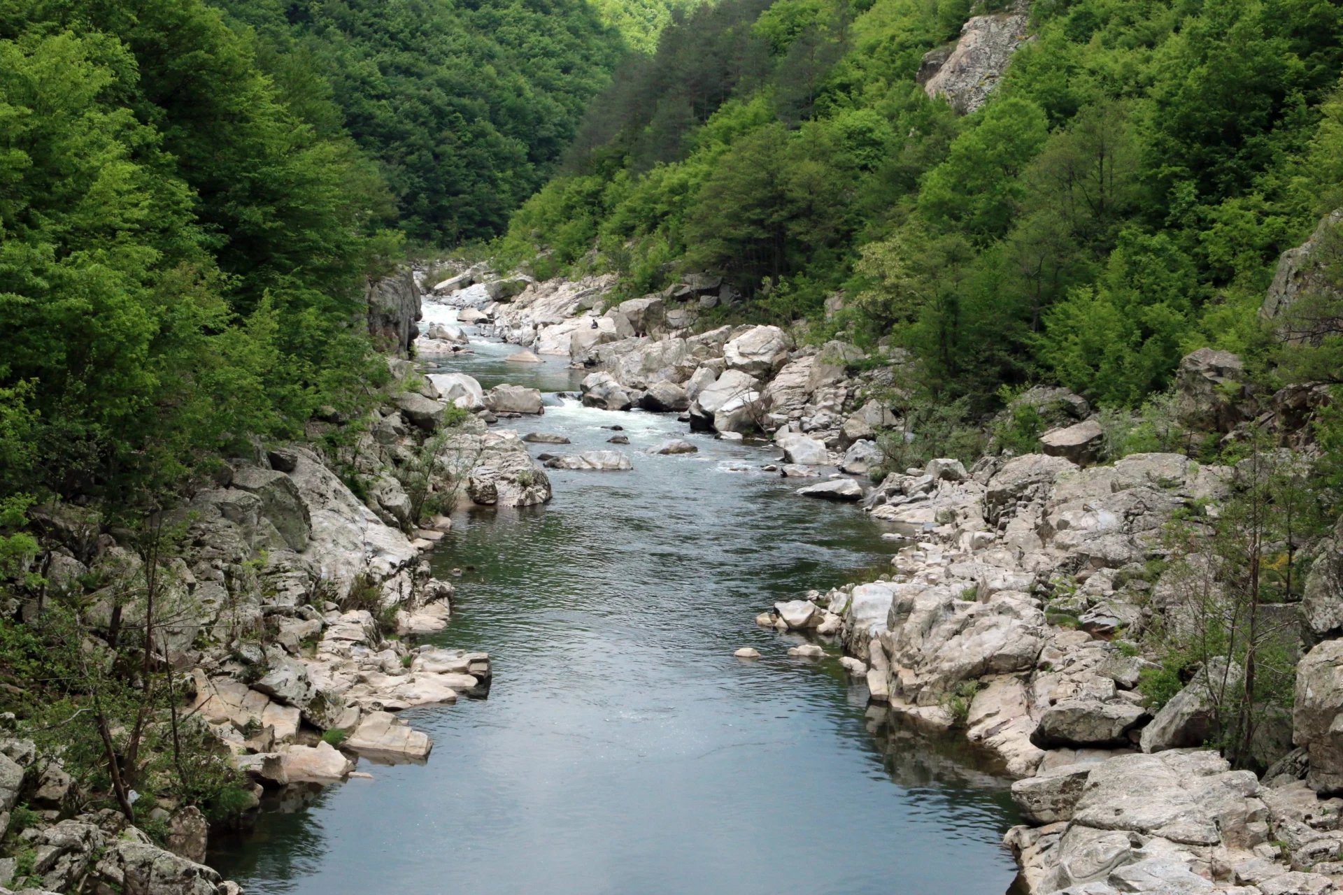 България природа