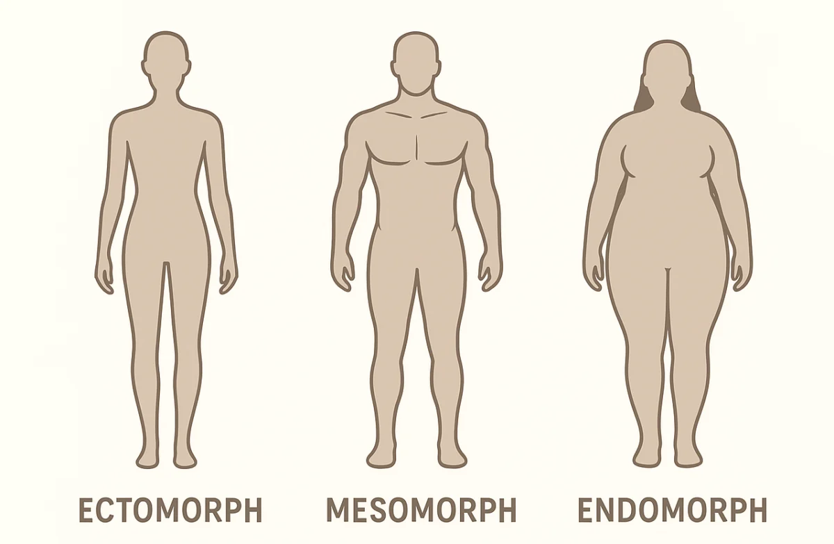 Ектоморф, Ендоморф или Мезоморф ли сте?