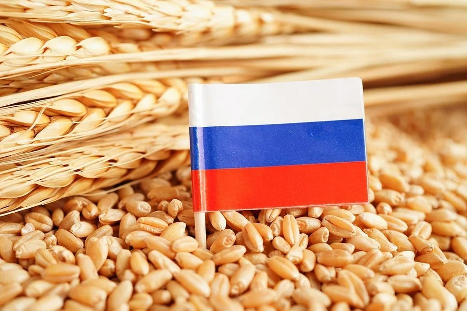 Русия се насочва към Абхазия, за да поддържа износа на пшеница