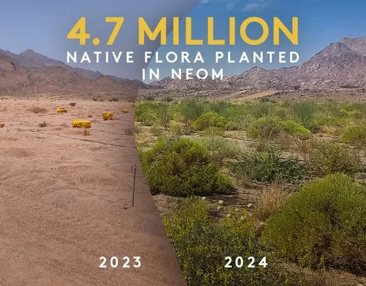 Мащабният водороден проект на Neom няма достатъчно купувачи