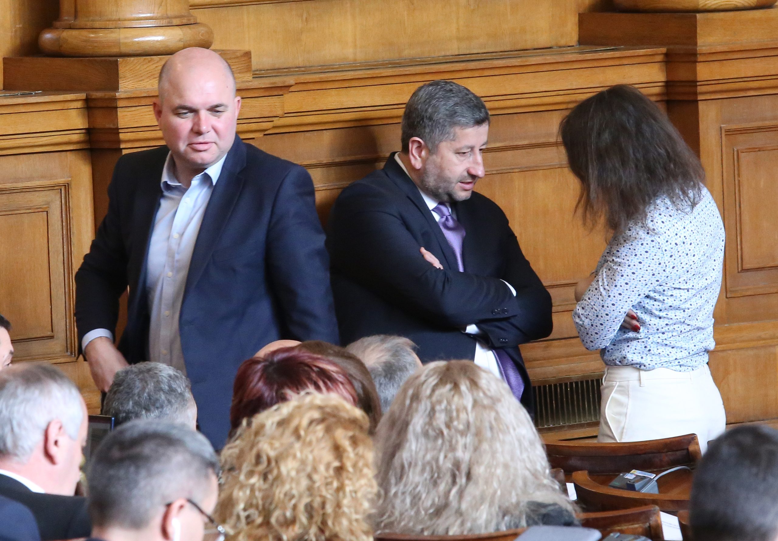 Парламент Владислав Панев