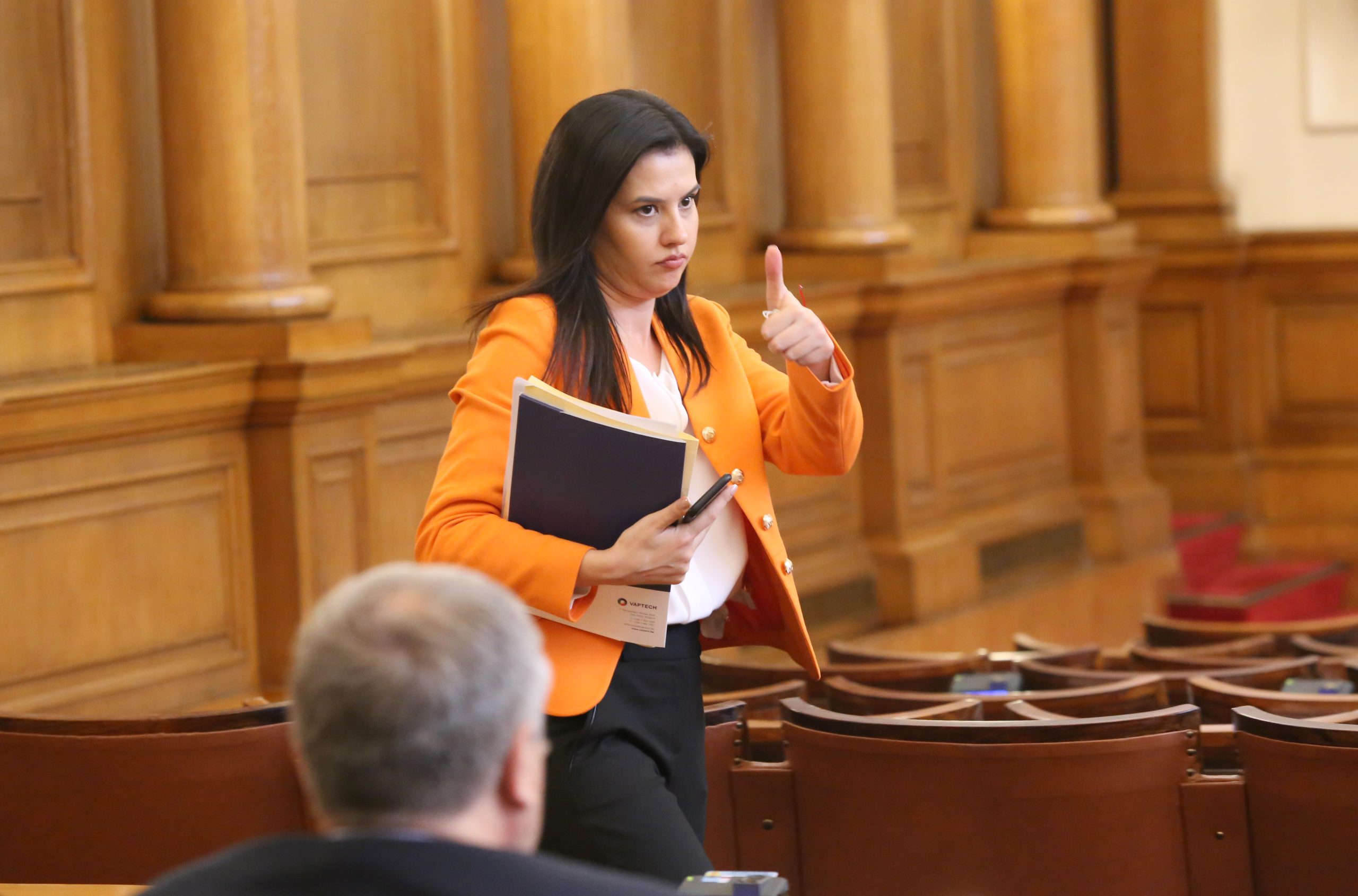 Парламент Десислава Трифонова