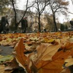 Есен листа