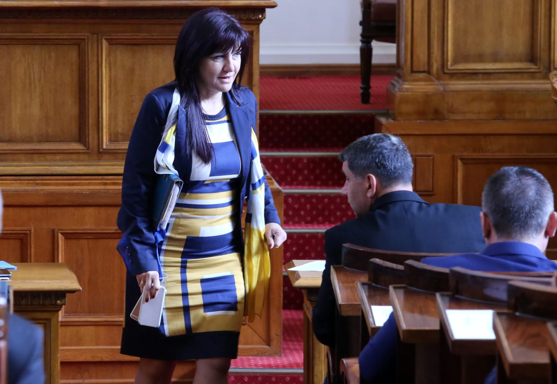 Парламент - Цвета Караянчева