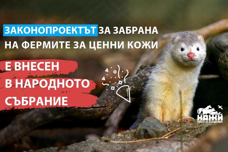 норка