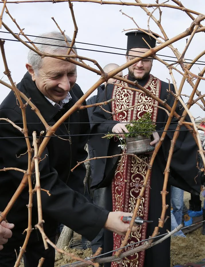 герджиков