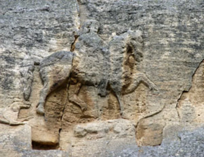 Migration Image
