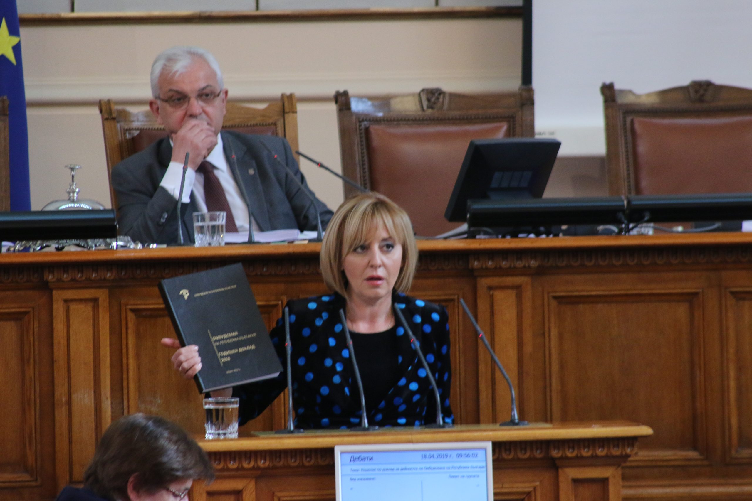 Парламент доклад на Мая Манолова