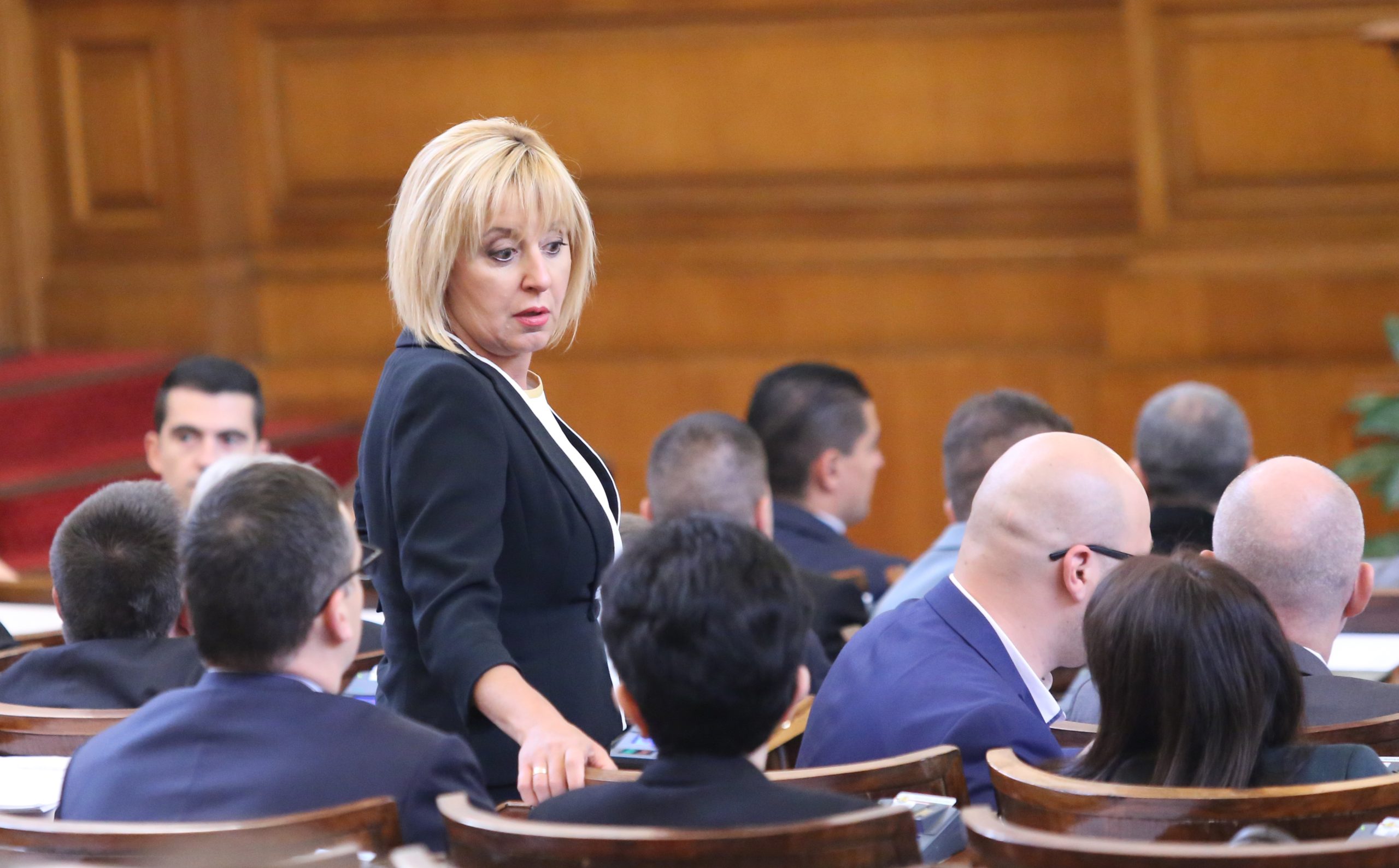 Парламент Мая Манолова