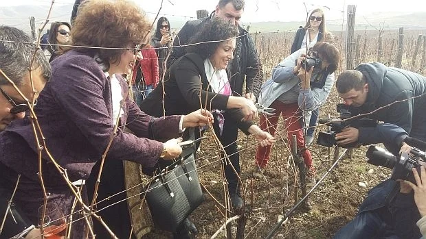 десислава танева