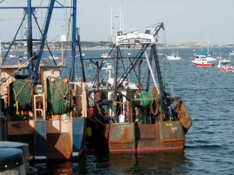 Migration Image
