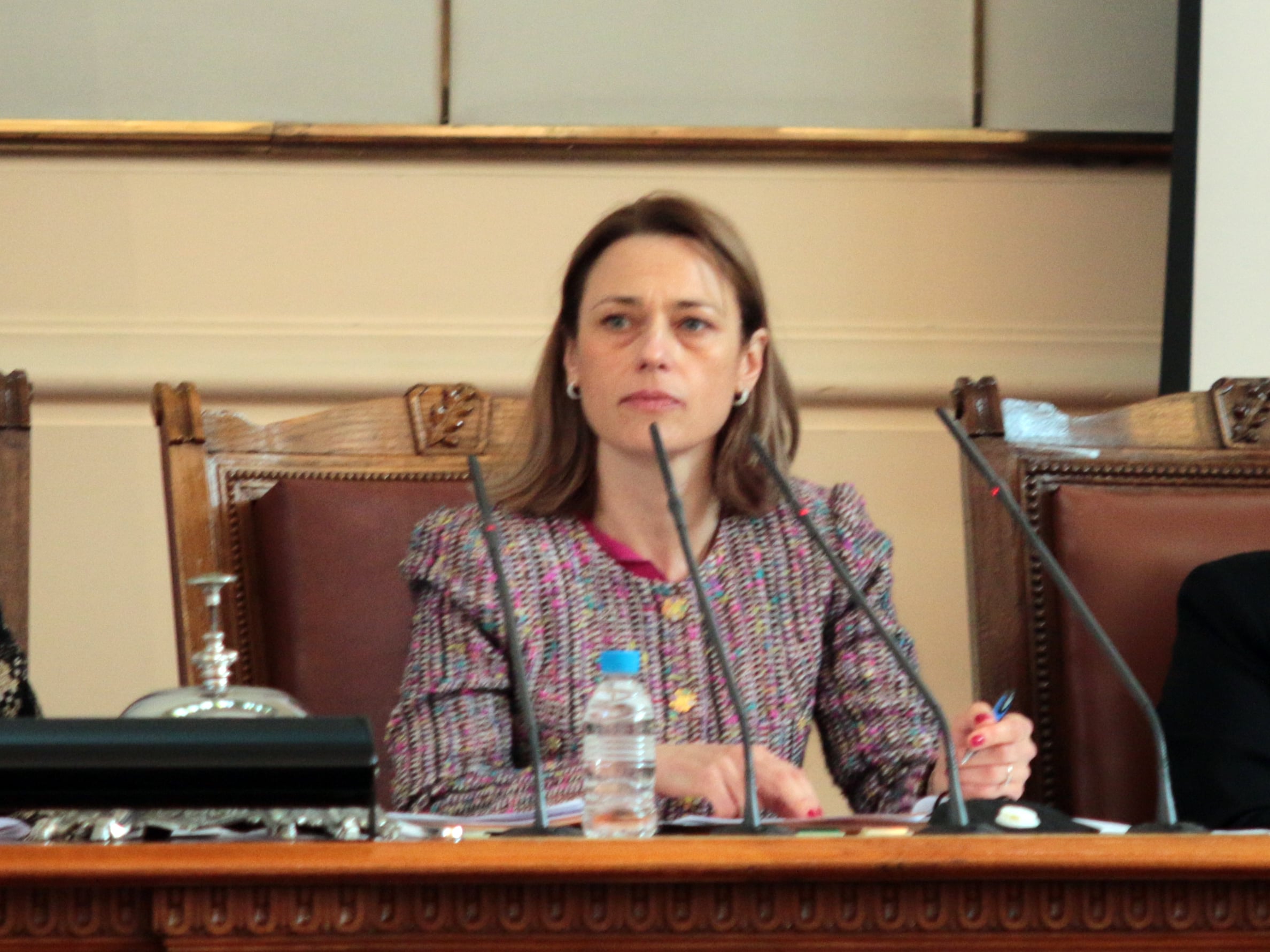 Парламент Ива Митева