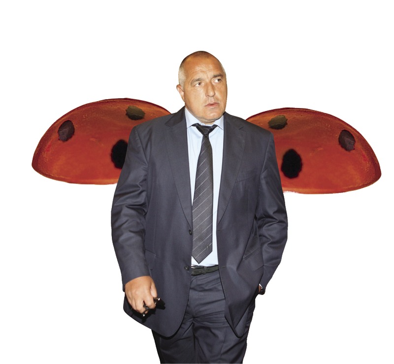 Migration Image