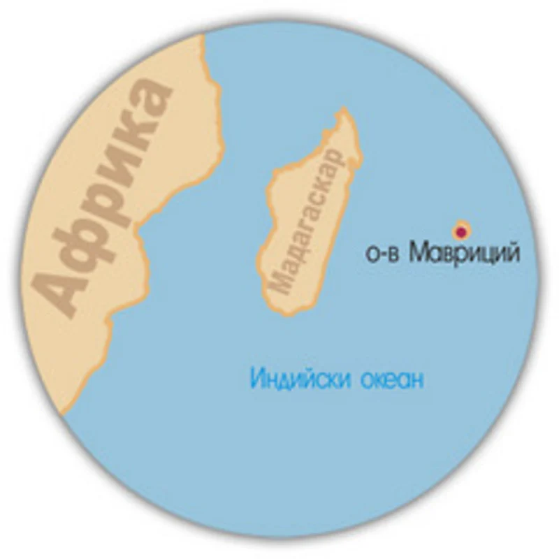 Migration Image