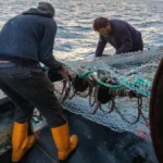 Брюксел съблазнява Исландия да стане член на ЕС с изключения в риболовната политика