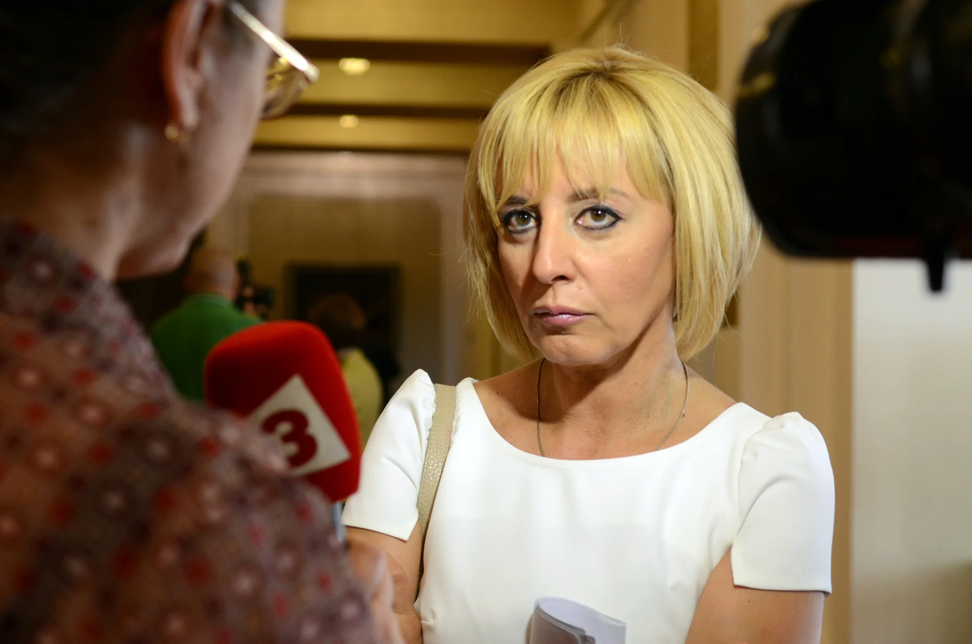 Парламент Мая Манолова