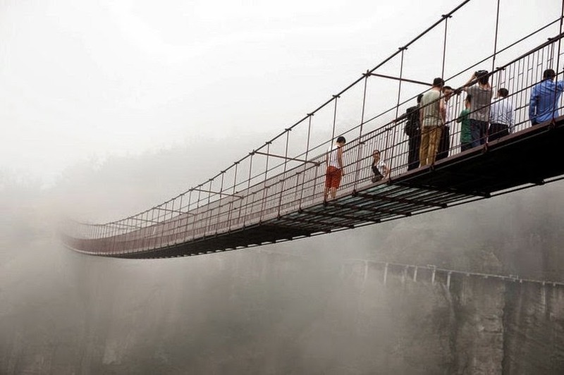 Migration Image