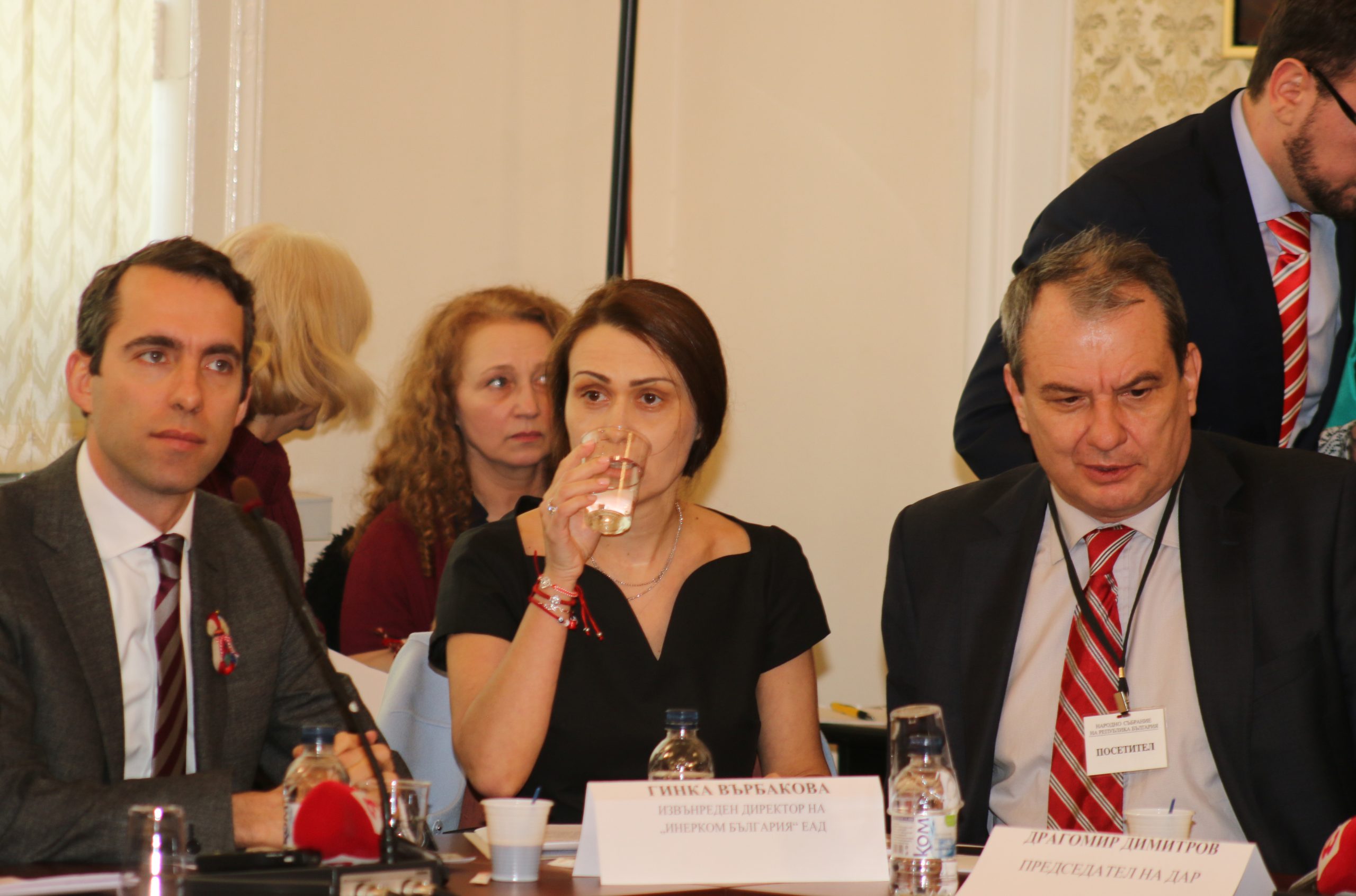 Парламент комисия по енергетика Гинка Върбакова...