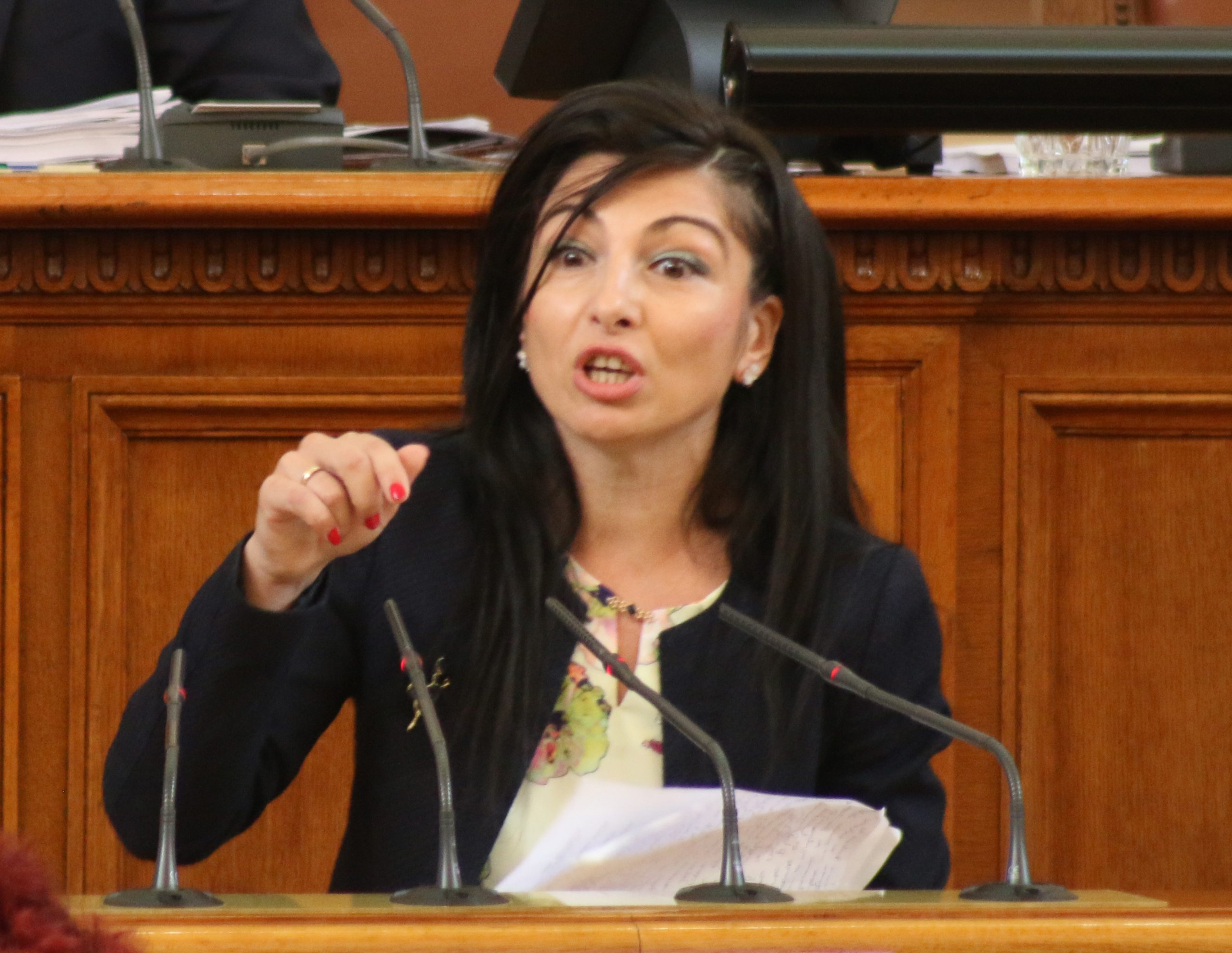 Парламент Надя Клисурска-Жекова БСП