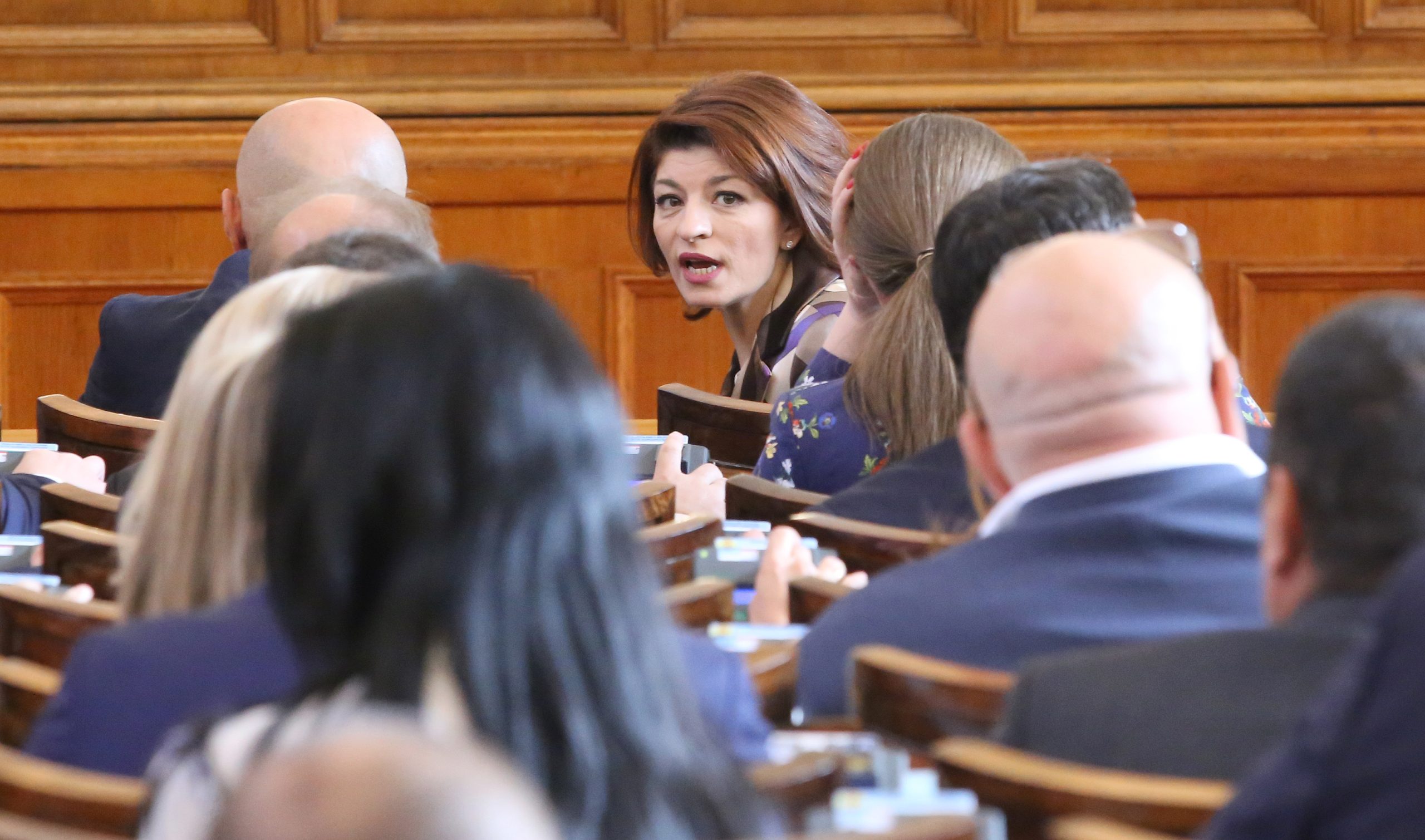 Парламент Десислава Атанасова