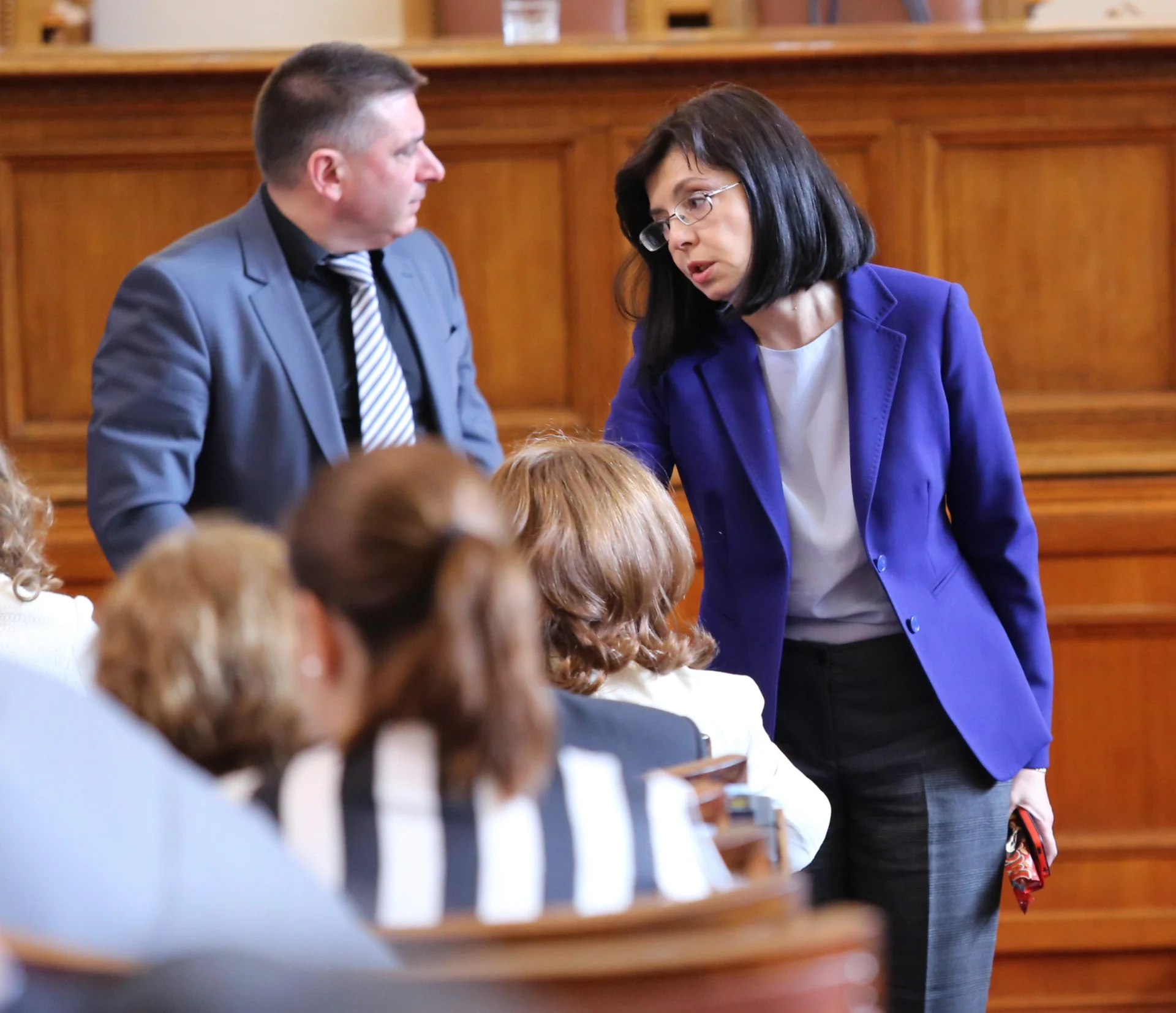 Парламент Меглена Кунева вицепремиер