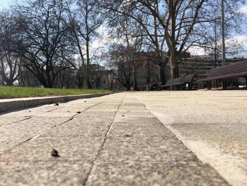градинката до парламента