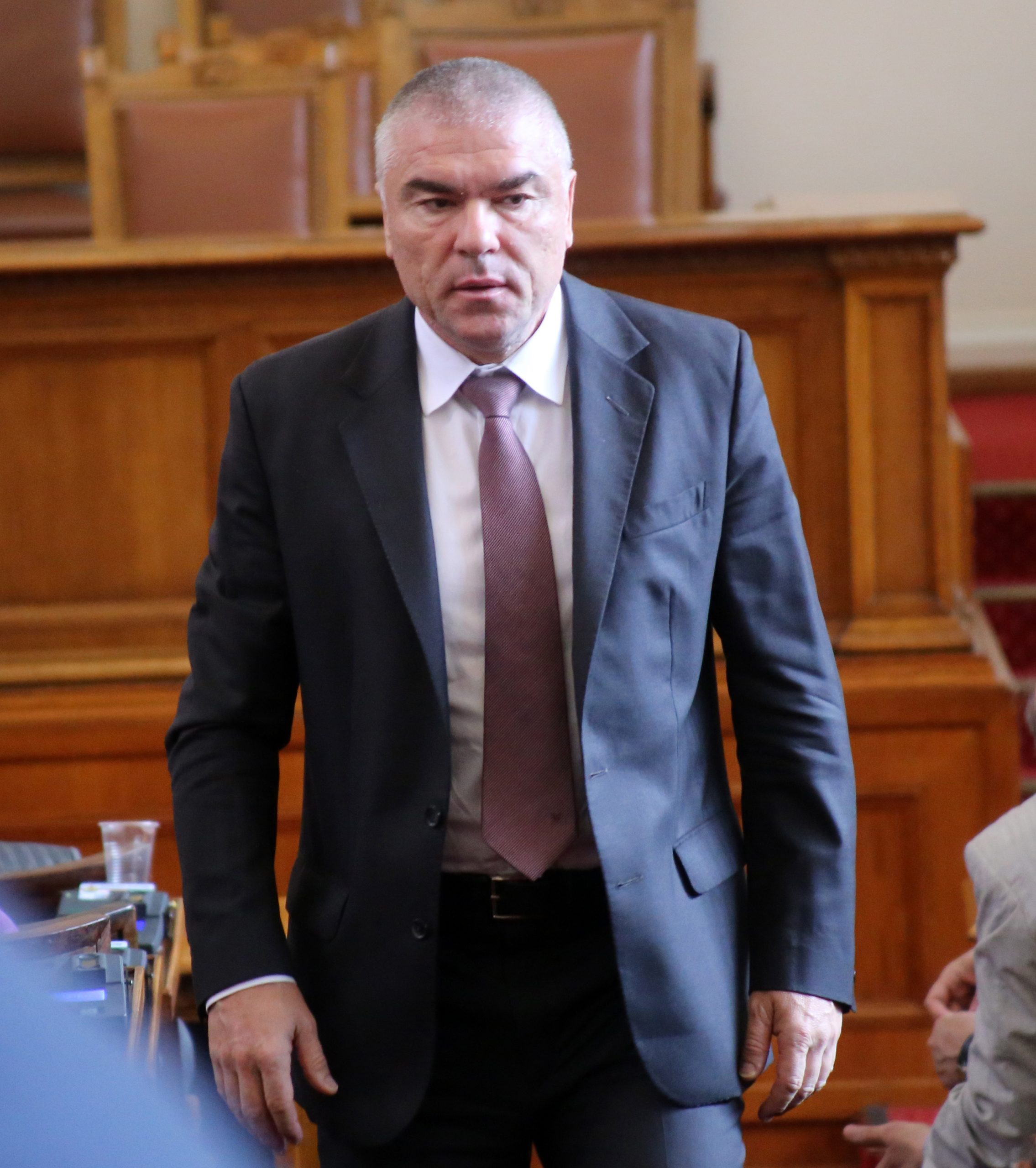 Парламент Веселин Марешки
