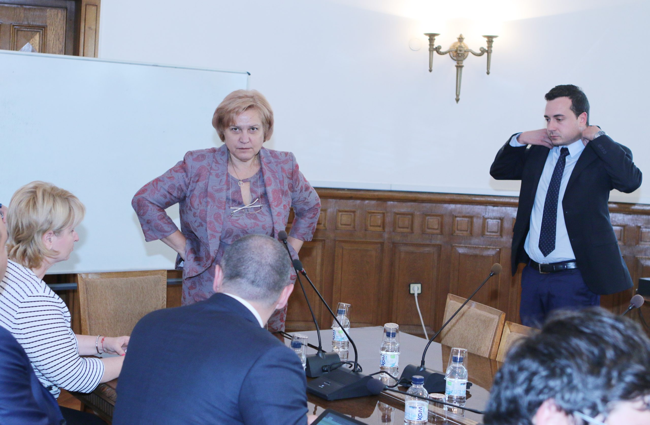 Парламент Комисия по бюджет и финанси Менда Стоянова