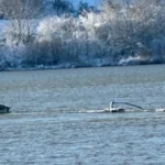 Няма замърсяване на водите на Дунав след потъналия румънски кораб