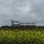 Шокът на пазара на торове ескалира с появата на нови рискове за доставките