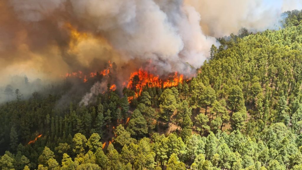 forest fire tenerife july 2022 los realejos 1200 675.1658419240