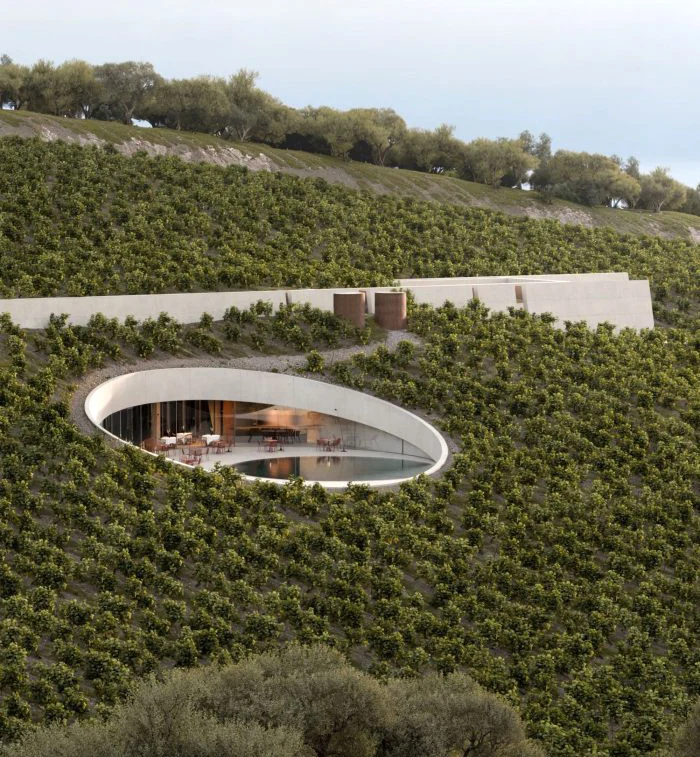 Фотис Запантиотис вгражда винарната Ktima Aidipsos в земята на остров Евия