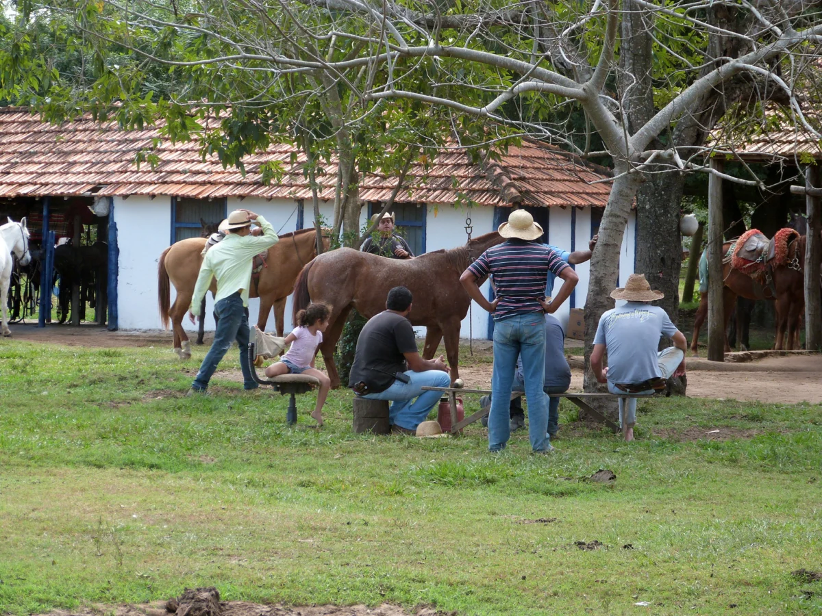 gauchosite toku shto sa prekarali dobituka na po visoko pasishte i sega si pochivat
