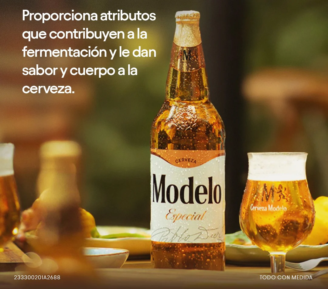 Първите два обекта на Netflix House ще отворят врати в края на 2025 година