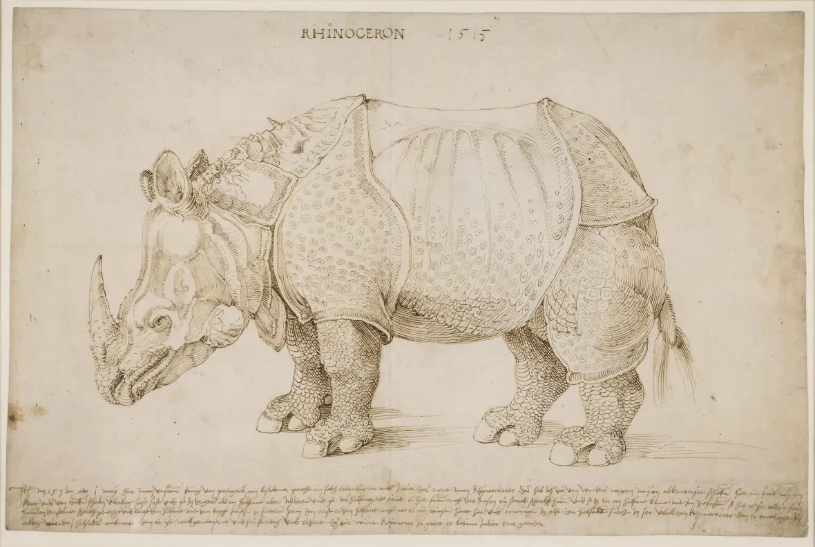 British Museum и Asprey Studio превръщат "Носорога" на Дюрер в сребърни скулптури с блокчейн произход