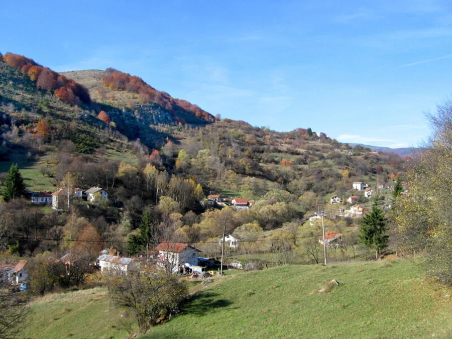 Кой допусна тежко въоръжени „рейнджъри“ да обикалят горите?