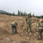 горски