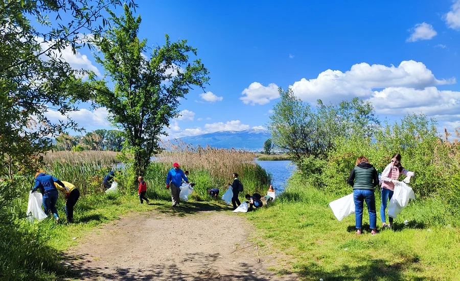 green day 2025 sofia 1