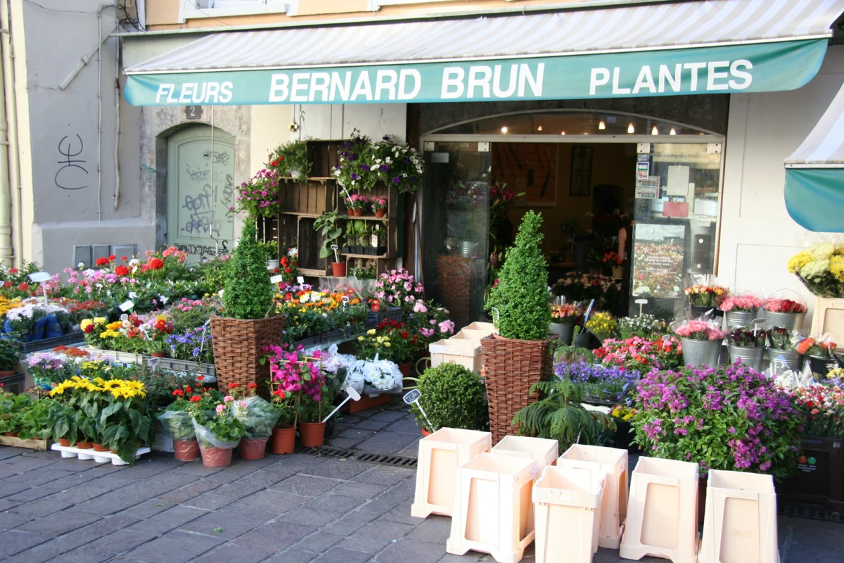 В прегръдката на Ронските Алпи 5 grenobul cvetarnica
