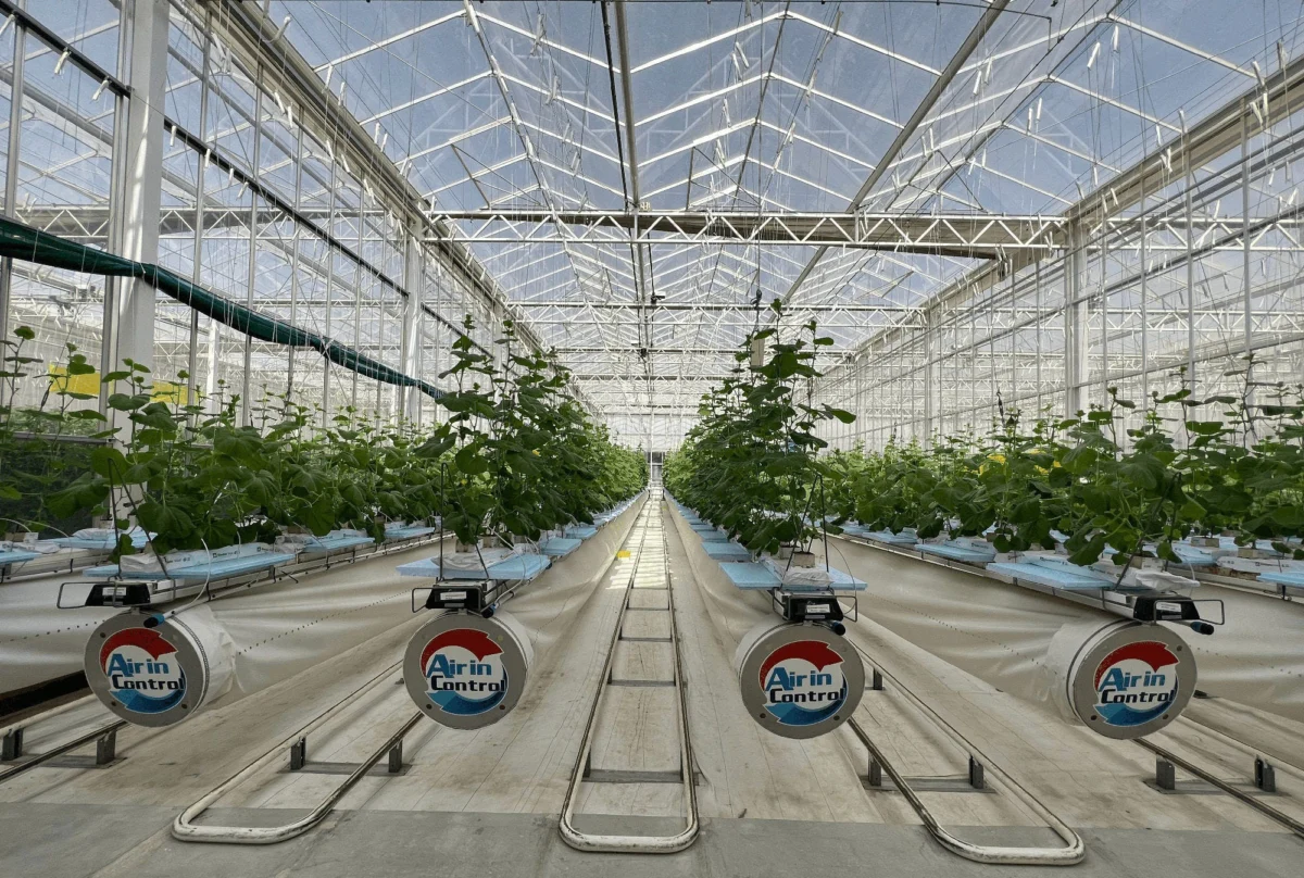 NEOM демонстрира устойчиво земеделие с нова оранжерия и вертикална ферма