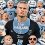 Халандомания
